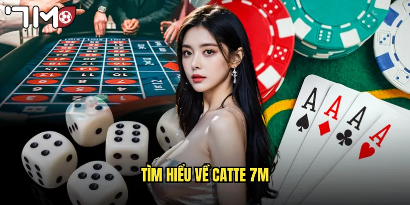 Tìm hiểu về catte 7m