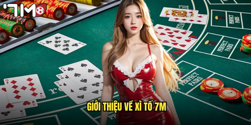 Giới thiệu về xì tố 7m