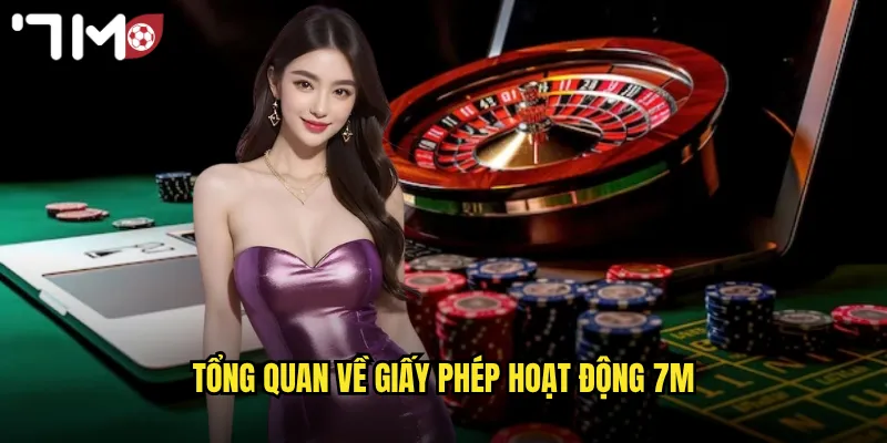 Giấy Phép Hoạt Động 7m Được Cấp Bởi Tổ Chức Uy Tín Quốc Tế 2 Tổng quan về giấy phép hoạt động 7m